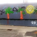 Graff-thumb