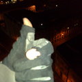 030220102580-thumb