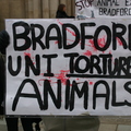 Bradford_uni-thumb