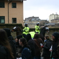 Horses-thumb