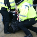 Arrest-thumb