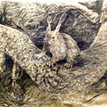 Whinlatter_red_squirrel-thumb