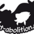 Logo_site_petit-thumb