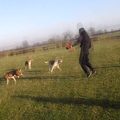 Vlcsnap-2012-01-28-10h32m52s59-thumb