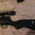 Evf_gun0-thumb