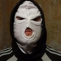 Evf_gimp-thumb