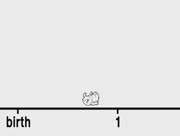 The_impossible_hamster_club